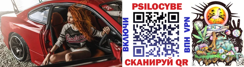 Псилоцибиновые грибы Psilocybine cubensis  Белоярский 